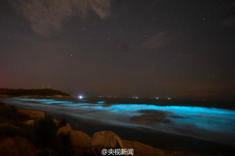 小犀牛救援