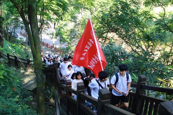 无限翻滚小球
